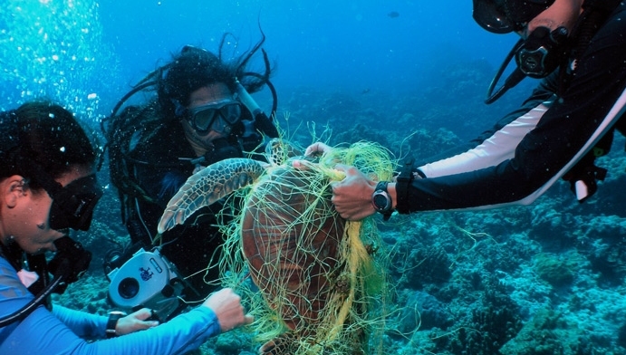 The ghost gear issue from fishing has been described as a 